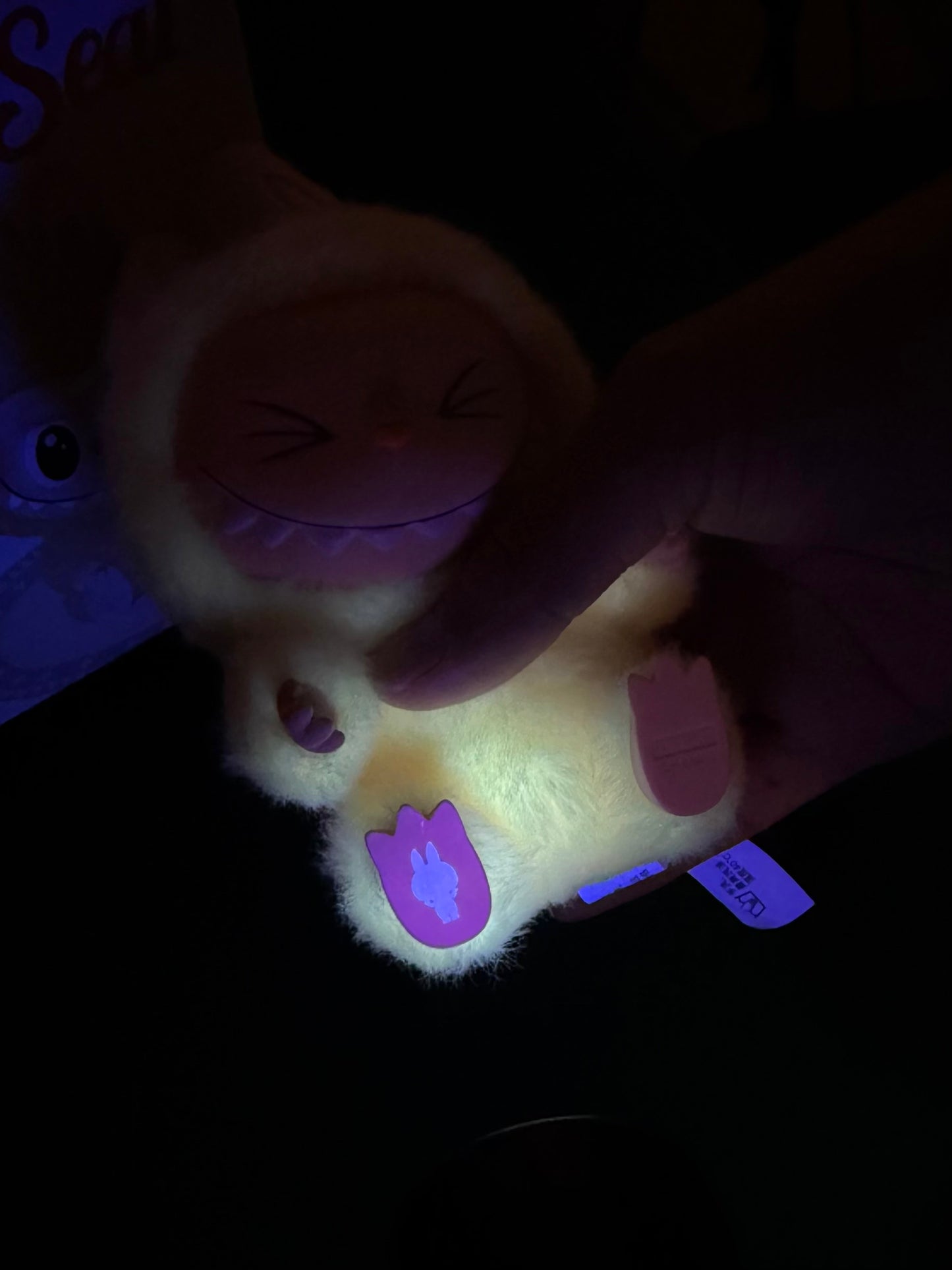 CONFIRMED SISI LABUBU (Unboxed)