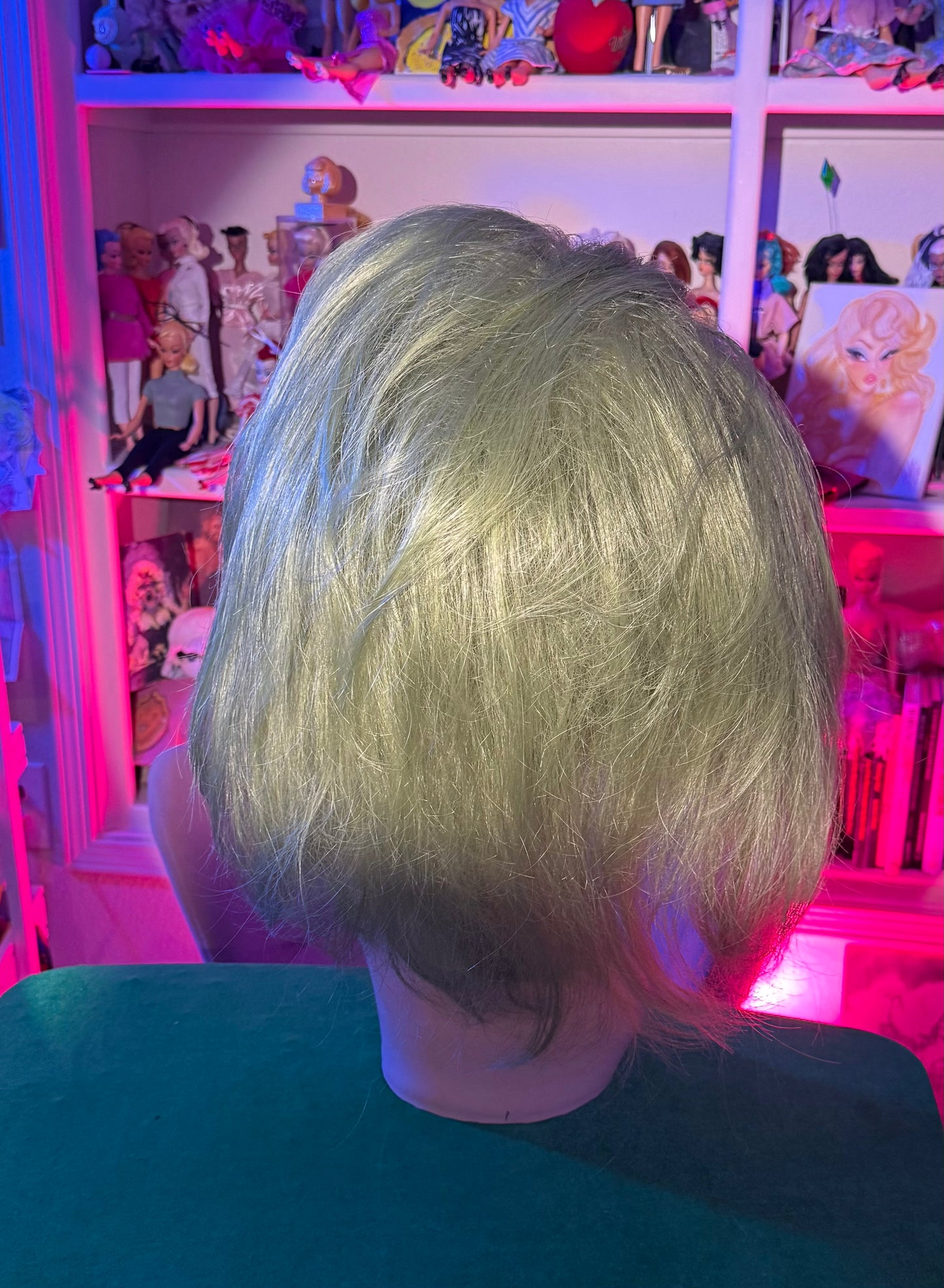 AS SEEN ON YOUTUBE: SWAMP TALK(HARD FRONT WIG)