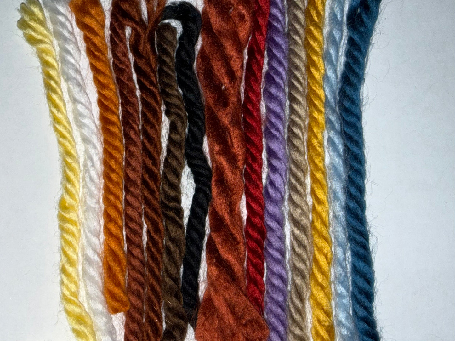 BILD YOUR OWN MISS 1955