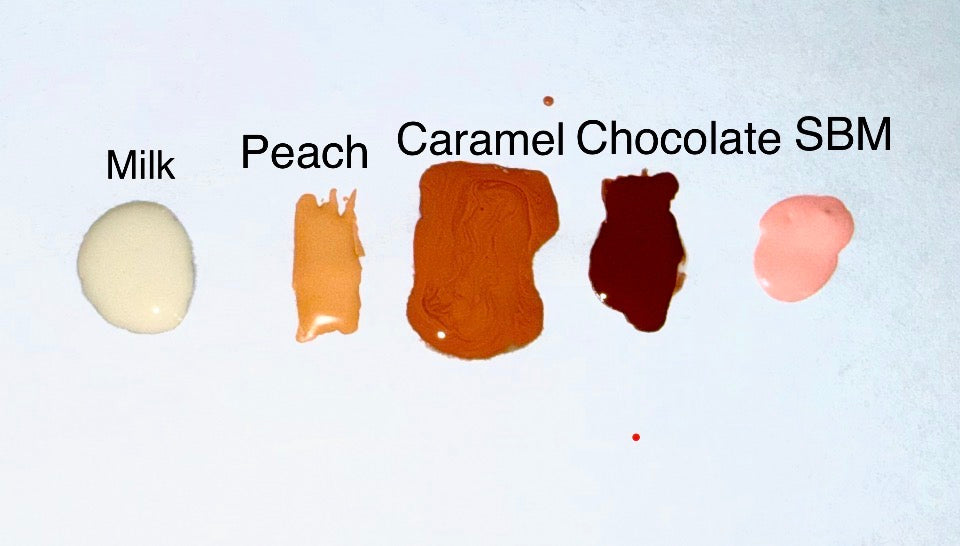 BILD YOUR OWN MISS 1955